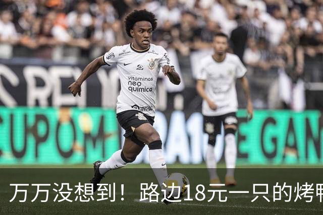 万万没想到！路边18元一只的烤鸭，用的居然是这种鸭子，能吃吗？